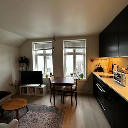 Bjorn's Sanctuary - City Center Stavanger