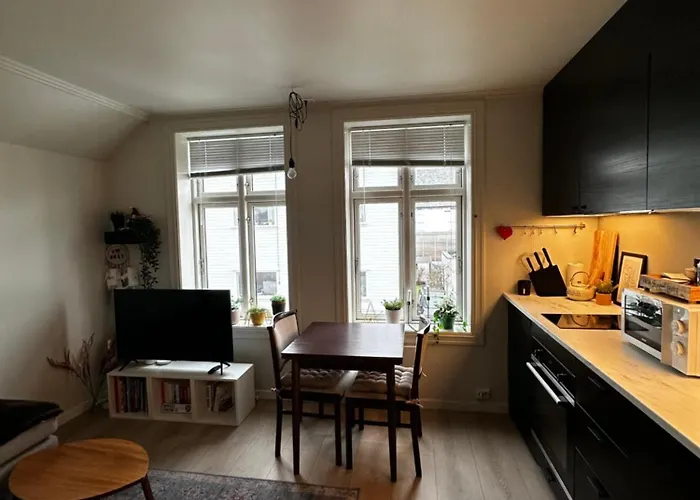 Bjorn's Sanctuary - City Center Stavanger